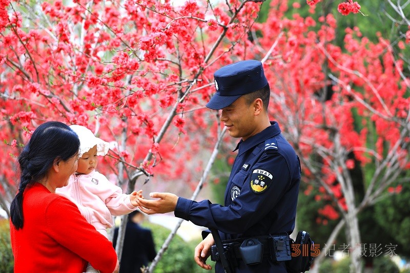 春光里的藏藍守護