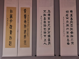 歲月如梭 墨韻春歌——袁春光書法作品匯報展在聊城拉開帷幕