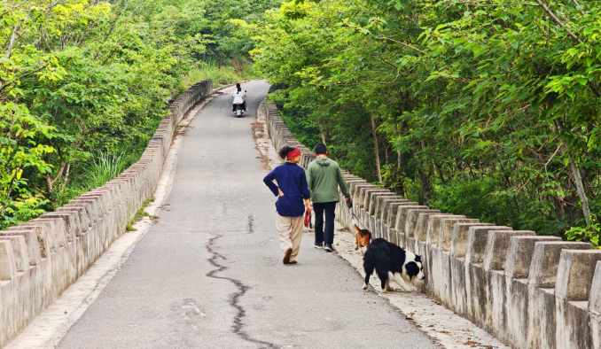 狗患隱憂下的景區日常