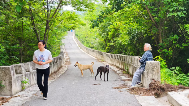 狗患隱憂下的景區日常