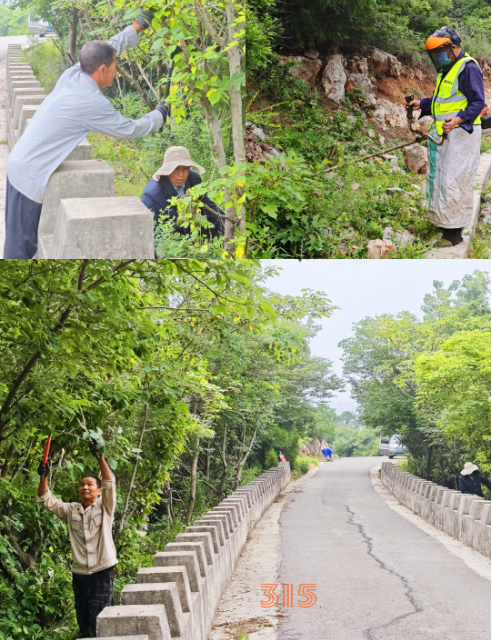 黑山景區除雜清障，守護夏日安全清爽