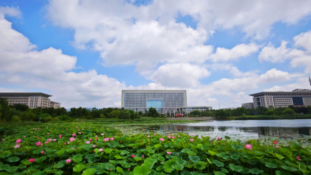 荷香滿溢引客來