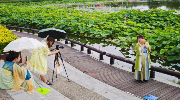 荷香滿溢引客來