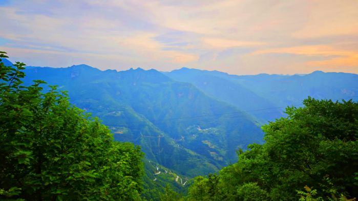 云端納涼地 振興進行時——重慶巫山楠木村：海拔1700米的“涼”心經濟