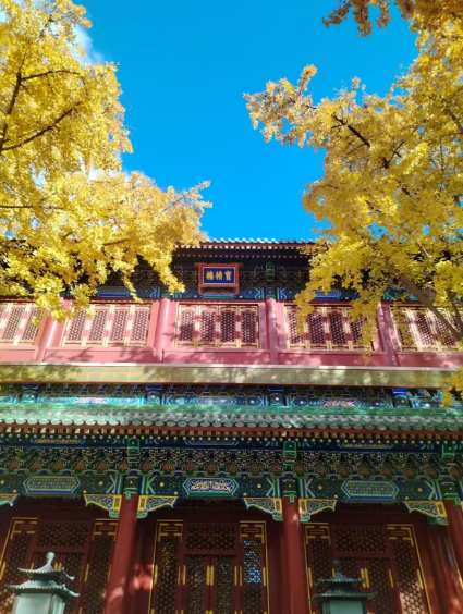 李月手機(jī)拍圖——2025年秋天的回憶