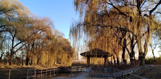 李月手機(jī)拍圖——2025年秋天的回憶