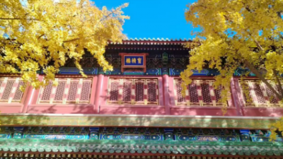 李月手機(jī)拍圖——2025年秋天的回憶