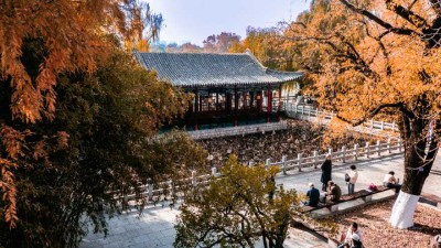 大明湖的秋，藏著生活的答案