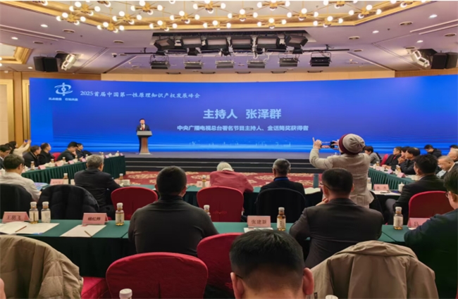 元點碰撞 行知共贏 2025首屆中國第一性原理知識產權發(fā)展峰會在北京隆重召開