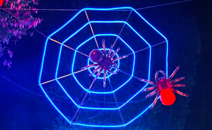 春節(jié)光影盛宴，青龍山“夜”綻華彩引客來