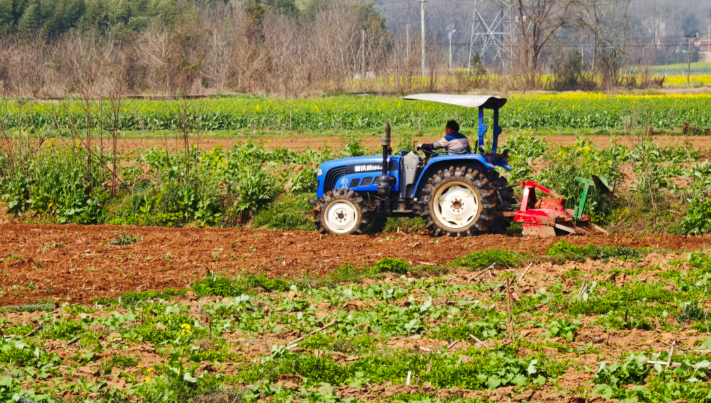 不負(fù)春光忙農(nóng)事    荊楚田野春耕圖