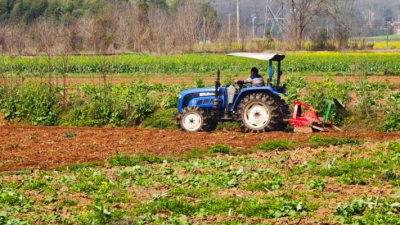 不負(fù)春光忙農(nóng)事    荊楚田野春耕圖