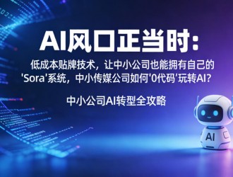 AI風(fēng)口正當(dāng)時：低成本貼牌技術(shù)，讓中小公司也能擁有自己的AI“Sora”系統(tǒng)