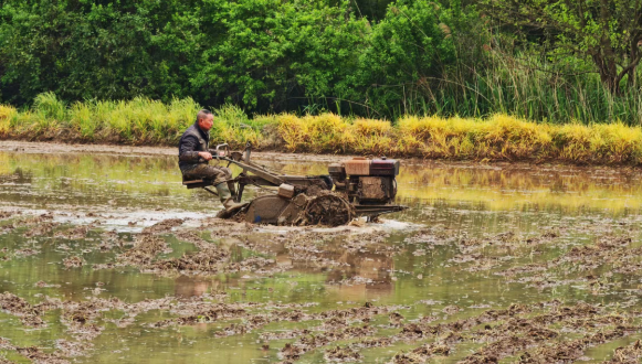 搶抓農(nóng)時(shí)忙春耕