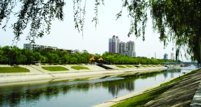 平頂山市湛河區：加速釋放優勢 優良營商環境為企業“賦能”