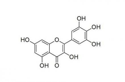 中國科學家發現楊梅素可促進造血