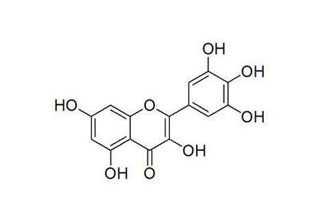 中國科學家發現楊梅素可促進造血