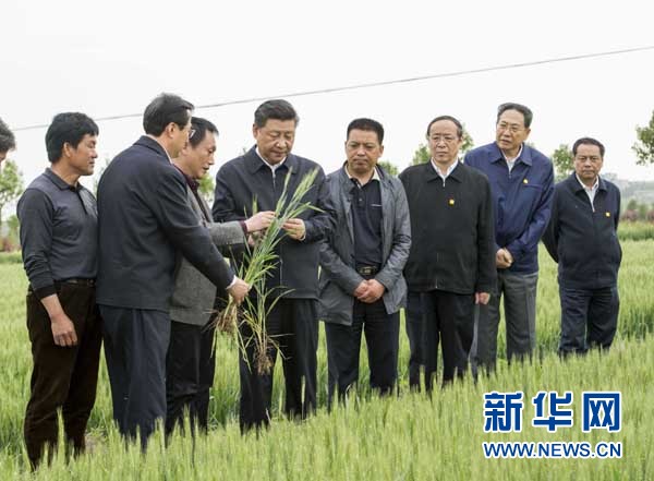 習(xí)近平 新農(nóng)村建設(shè)不要把城市模式搬到農(nóng)村