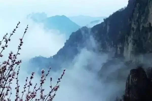 花美、云美、山美、冰美：新鄉轎頂山