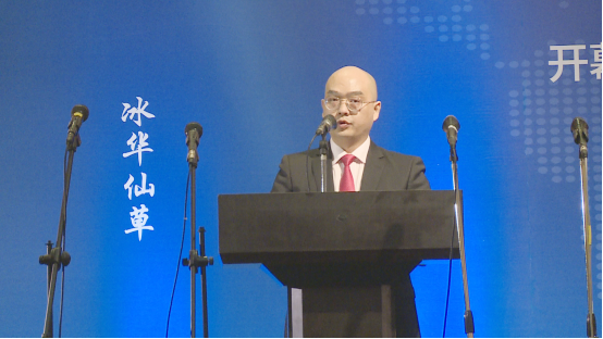 慶香港回歸20周年CCTV我愛你中華一帶一路文化藝術 盛典在香港隆重舉行