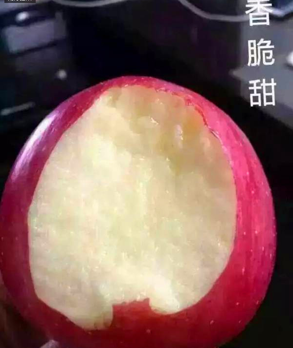 聽說洛川蘋果熟了，他們都在中國洛川蘋果網購買