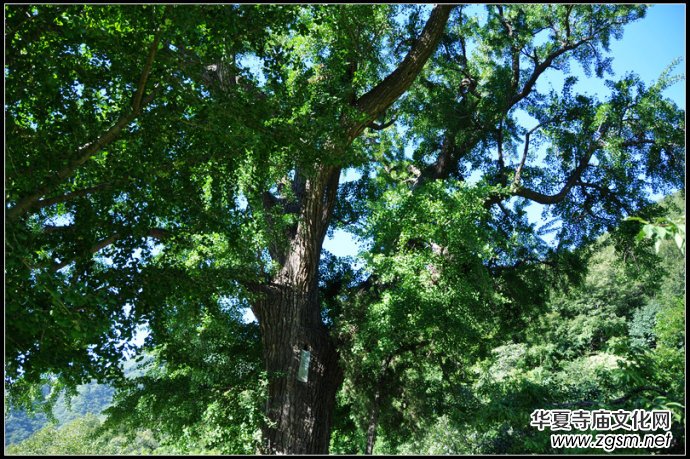 北京房山金祖山風(fēng)景區(qū)內(nèi)十字寺遺址