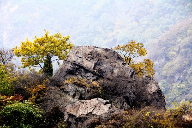 記者攝影家走進房山金祖山風景區釆風