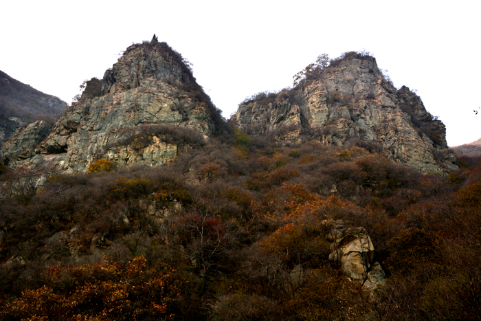 金祖山奇石奇樹奇泉奇景
