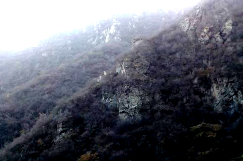 金祖山奇石奇樹奇泉奇景
