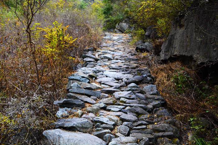 金祖山奇石奇樹奇泉奇景