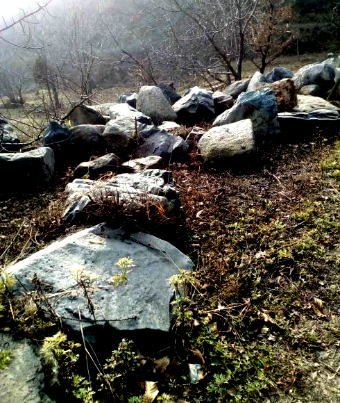 金祖山奇石奇樹奇泉奇景