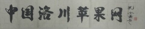 孔令義將軍為中國洛川蘋果網題字