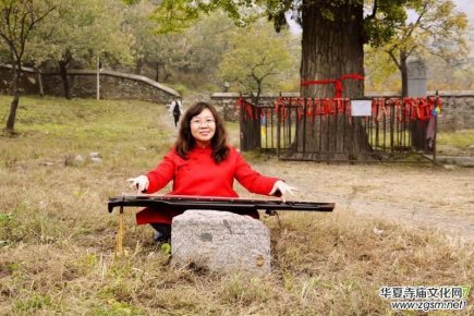 李月（愛(ài)娣）2017年度月玲瓏詩(shī)詞博文總匯