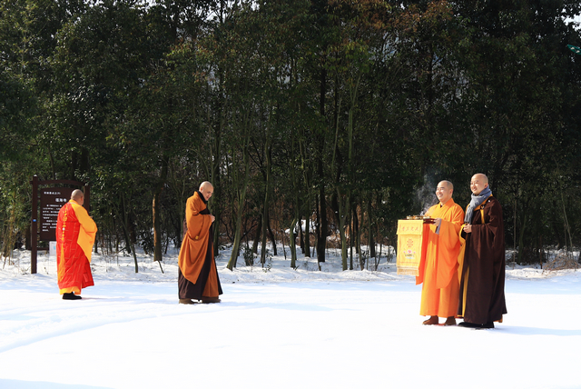 銅陵 龍燈開光降祥瑞，移風(fēng)易俗新農(nóng)林
