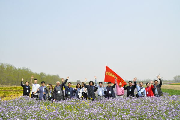 走進(jìn)“孤島”系列報(bào)道之以槐為媒，大報(bào)大刊共赴“孤島”共話文化興鎮(zhèn)