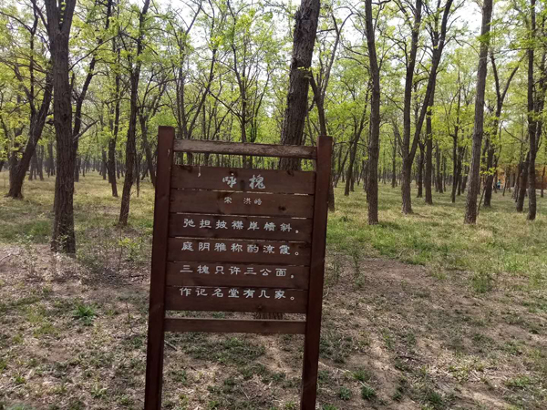 走進(jìn)“孤島”系列報(bào)道之以槐為媒，大報(bào)大刊共赴“孤島”共話文化興鎮(zhèn)