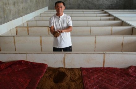銀河之星 李振民：讓鄉親吃上真正純糧釀造的老陳醋