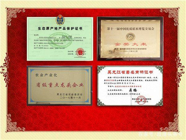 黑龍江云橋米業入駐遼寧：“寧做精米一粒”理念受營口市民青睞
