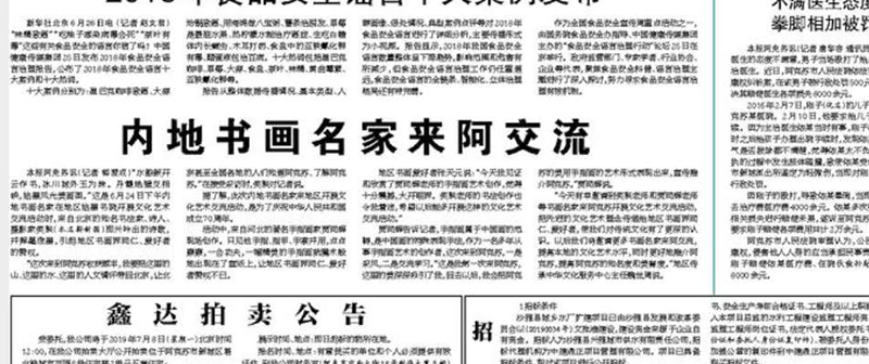 北京正念正心國學研究院到新疆書畫文化交流