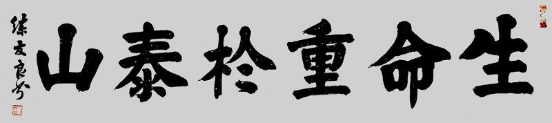 練友良書法作品——眾志成城 抗擊肺炎主題網絡書畫攝影展優秀作品