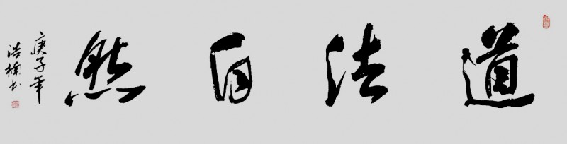 李浩楠書法作品——眾志成城 抗擊肺炎主題網絡書畫攝影展優秀作品