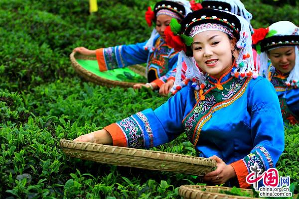 ＂國際茶日＂誕生 習近平致信！20億茶人看過來