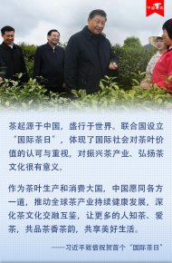 ＂國際茶日＂誕生 習(xí)近平致信！20億茶人看過來