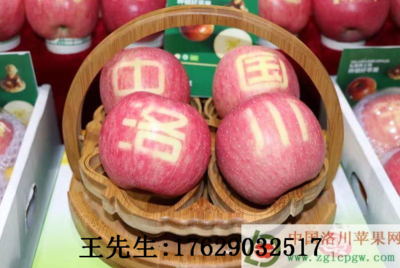 為啥說迎賓果（洛川蘋果）好吃，請看這里