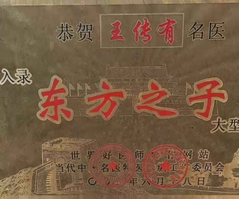 當(dāng)代名醫(yī)王傳友,御醫(yī)王天和中醫(yī)傳人