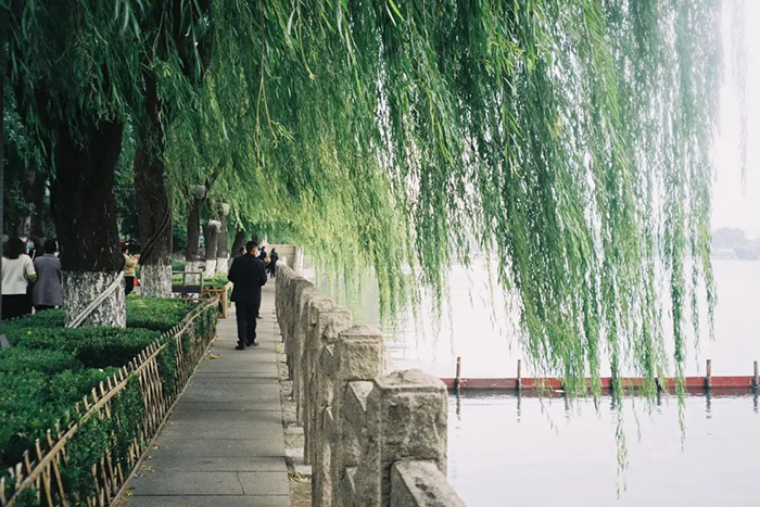 六月，最該去一趟濟南