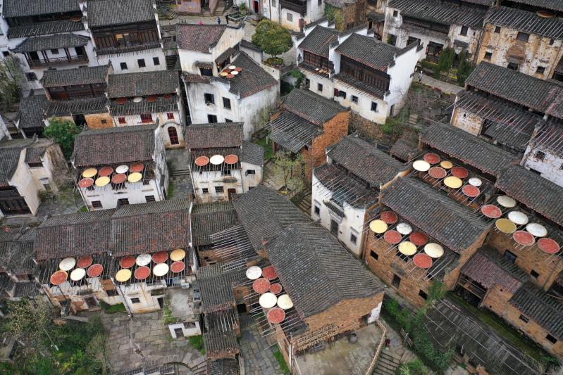 江西婺源篁嶺：大地的調色板