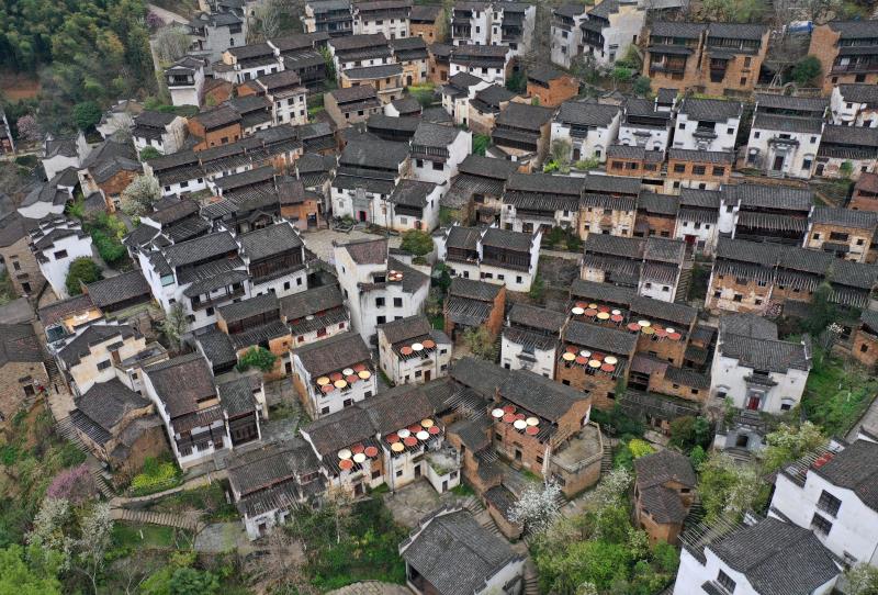 江西婺源篁嶺：大地的調色板