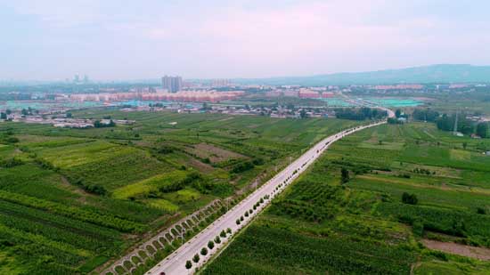 平頂山市石龍區：用磁場效應，催生能力作風建設“蝶變”