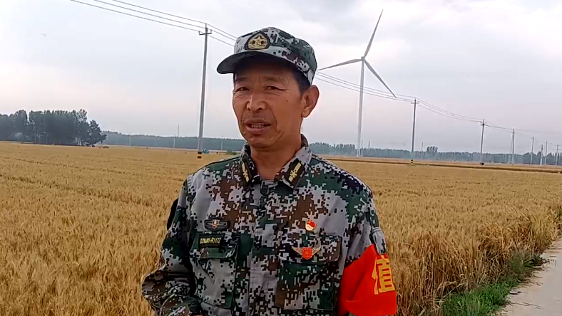 搶夏收麥歸倉——記山東德州寧津縣王吏目村小農水工程入田